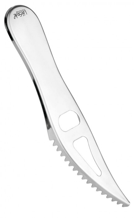 ESCAMADOR INOX RF.2933