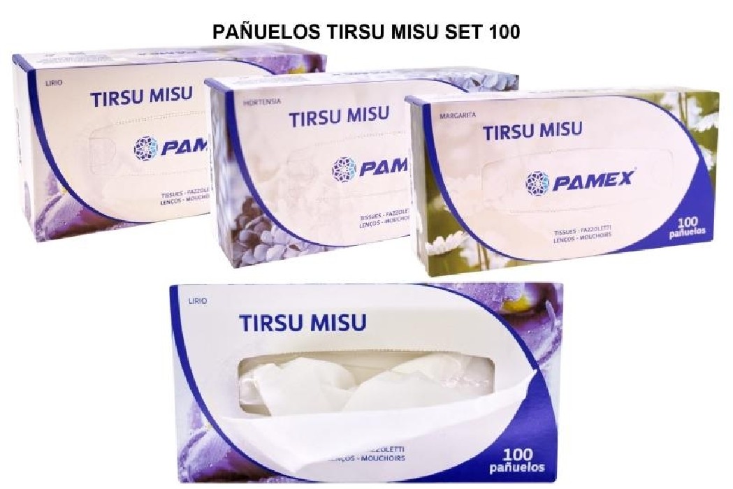 PAÑUELOS CAJA PAMEX 100  100042
