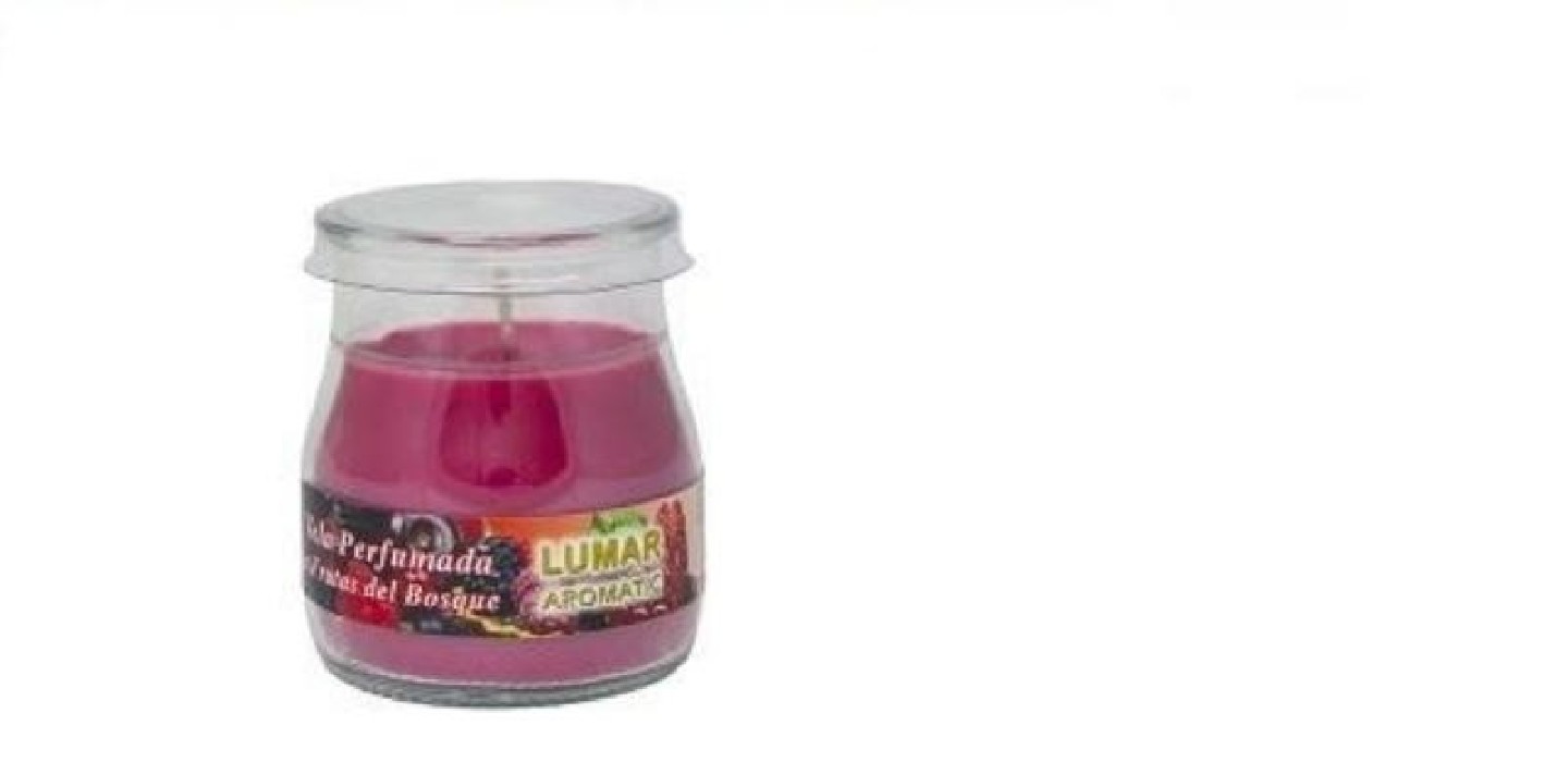 VASO YOGURT FRUTAS BOSQUE 900400