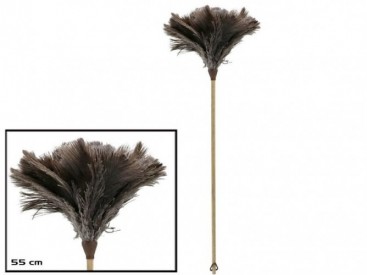 PLUMERO AVESTRUZ 55CM